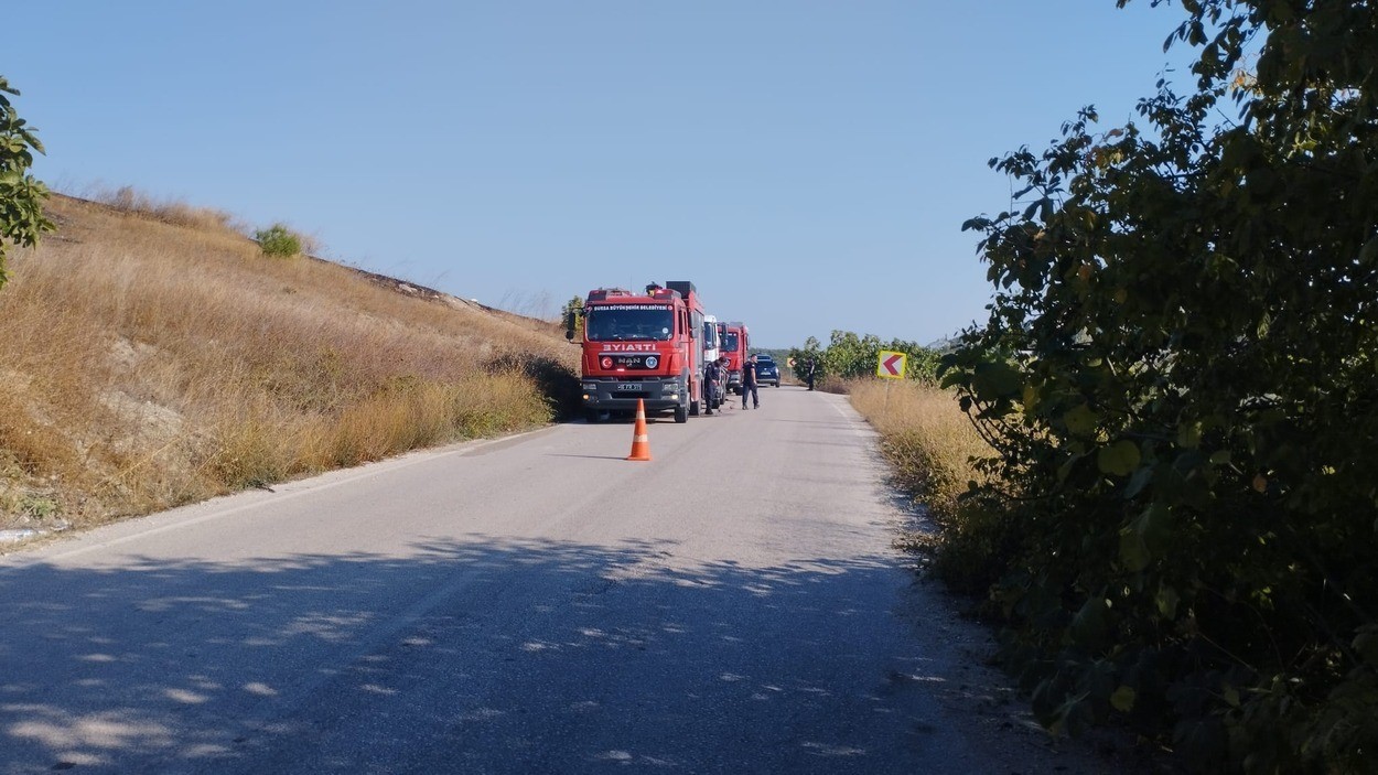 Orman yangını söndürüldü
