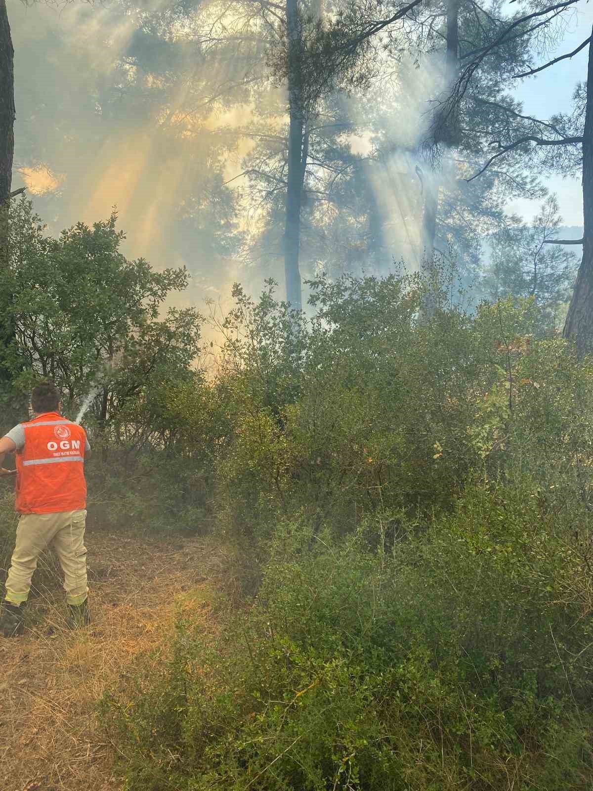 &Ccedil;anakkale&rsquo;daki orman yangını kontrol altına alındı
