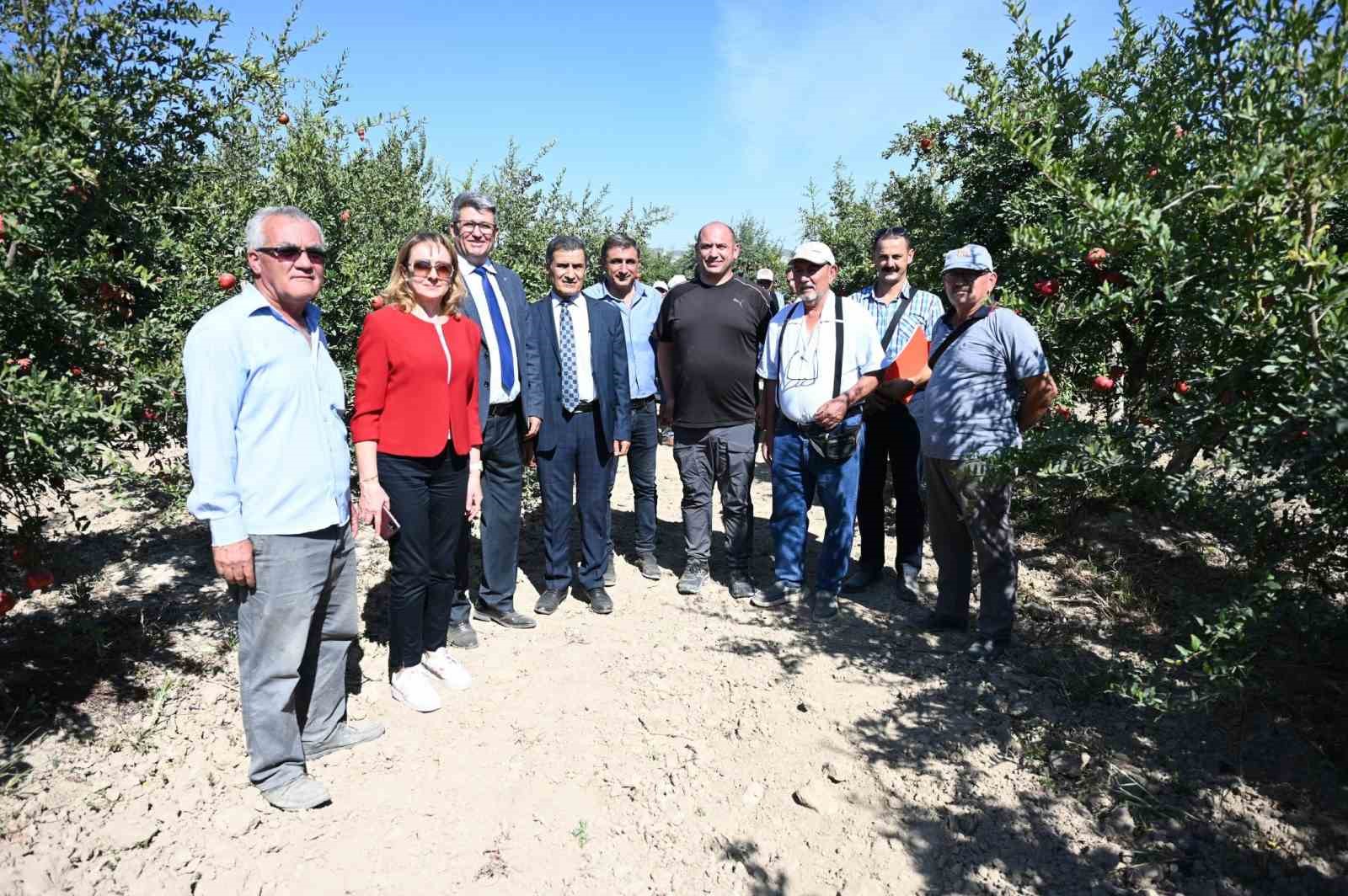 Zararlılarla m&uuml;cadelede kullanılan akıllı b&ouml;cekler gıda g&uuml;venliğini artırdı
