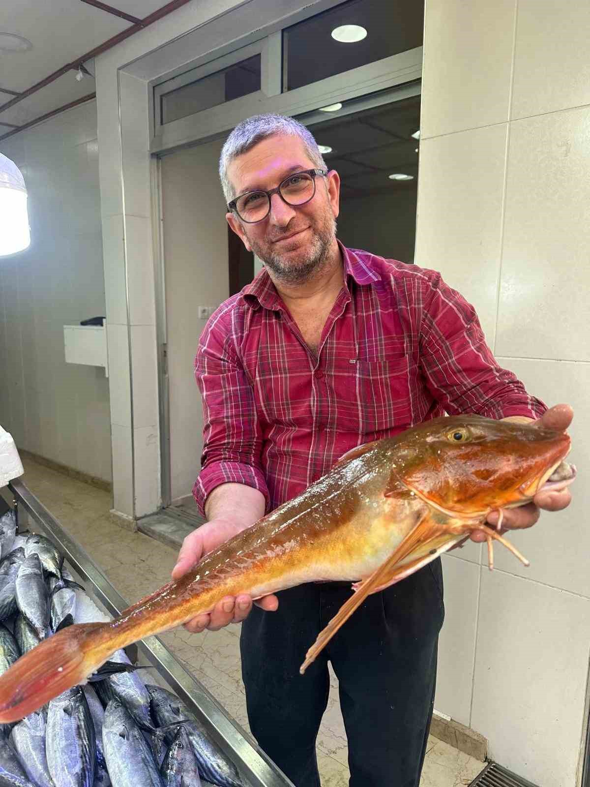 Sinop’ta ağlara takılan kırlangıç balığı ilgi odağı oldu
