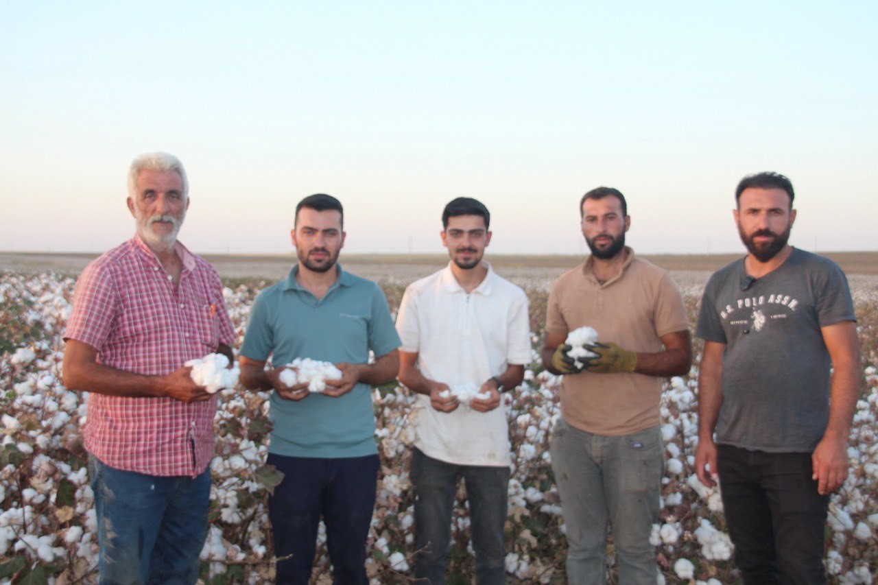 Şanlıurfa’da ’beyaz altın’ hasadı başladı