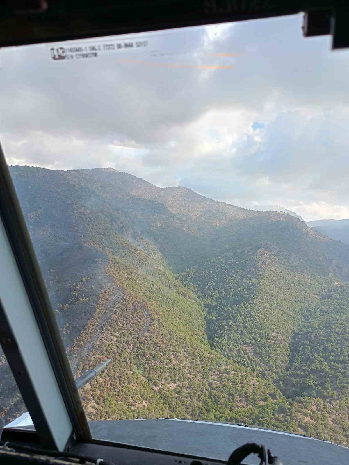 Manisa’daki orman yangını kontrol altına alındı