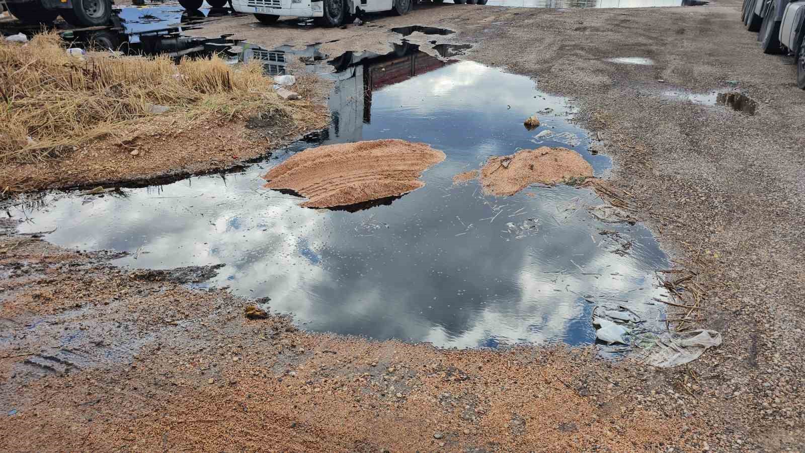 Bandırma&rsquo;da hırsızlık teşebb&uuml;s&uuml; &ccedil;evre felaketine neden oldu
