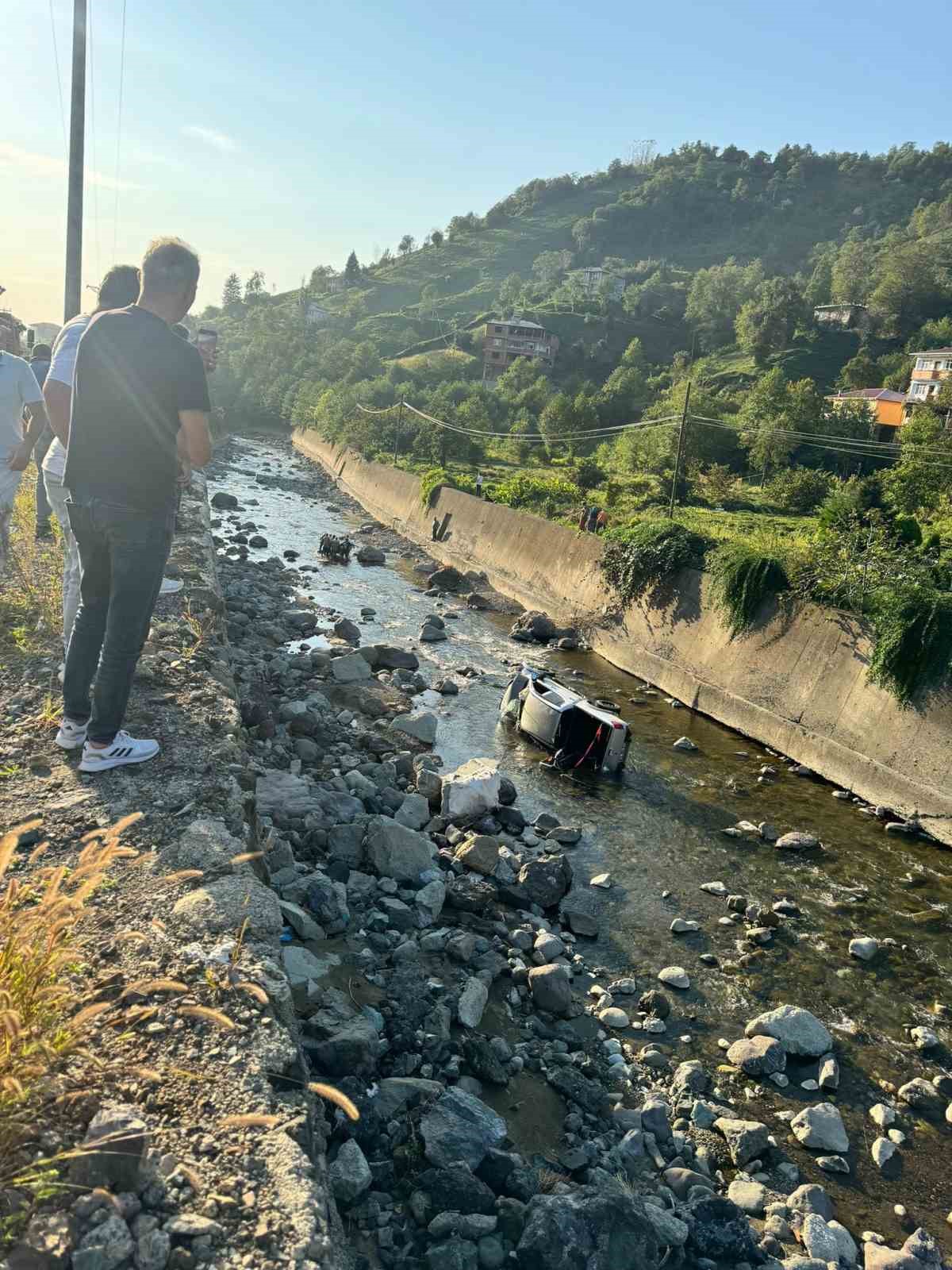 Kamyonet dereye düştü: 1 yaralı
