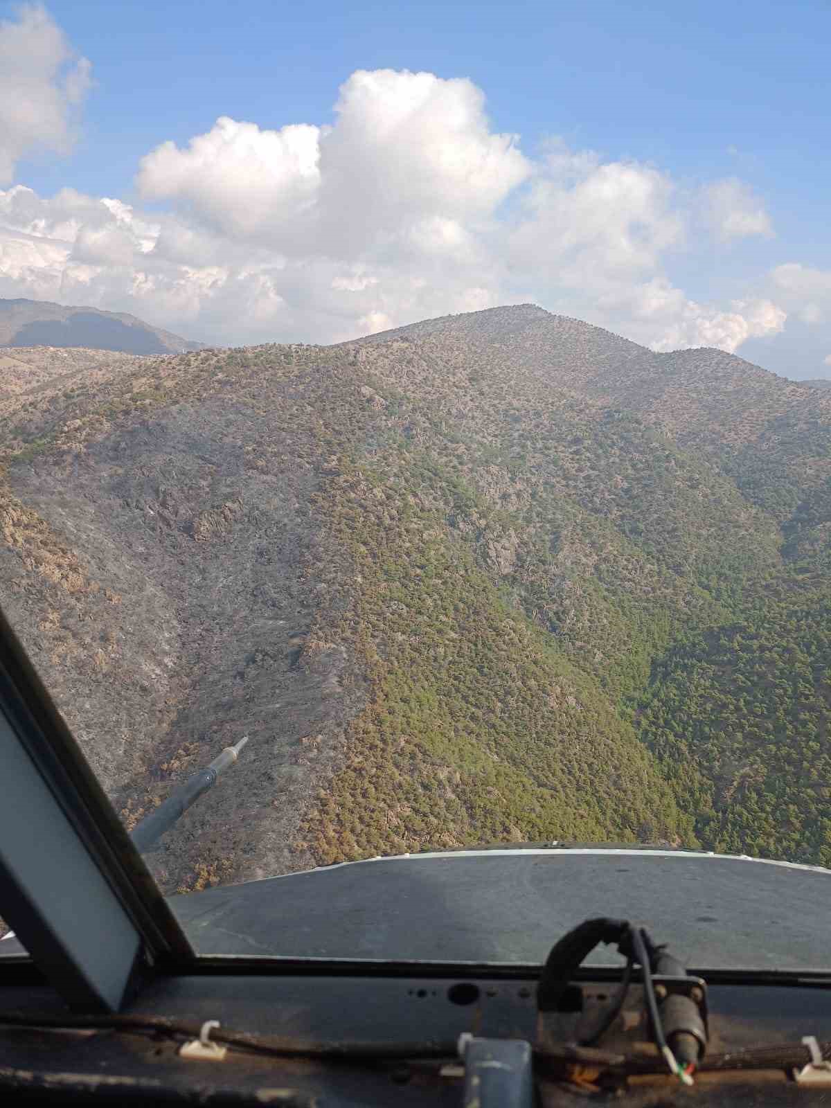 Manisa’daki orman yangını kontrol altına alındı