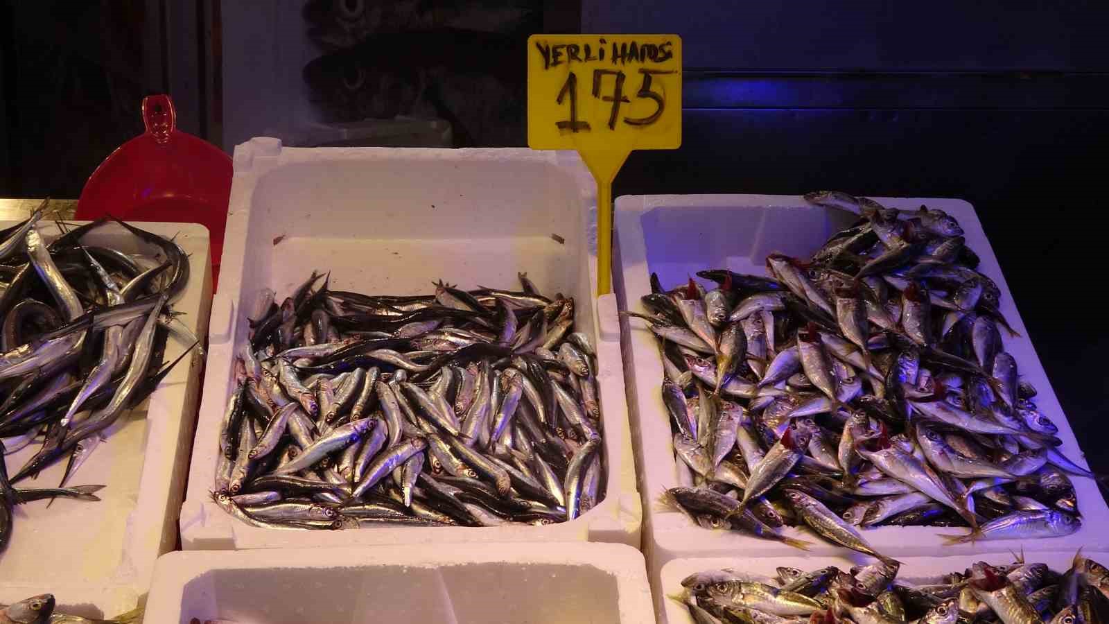 Havalar serinledi, palamuda ilgi arttı