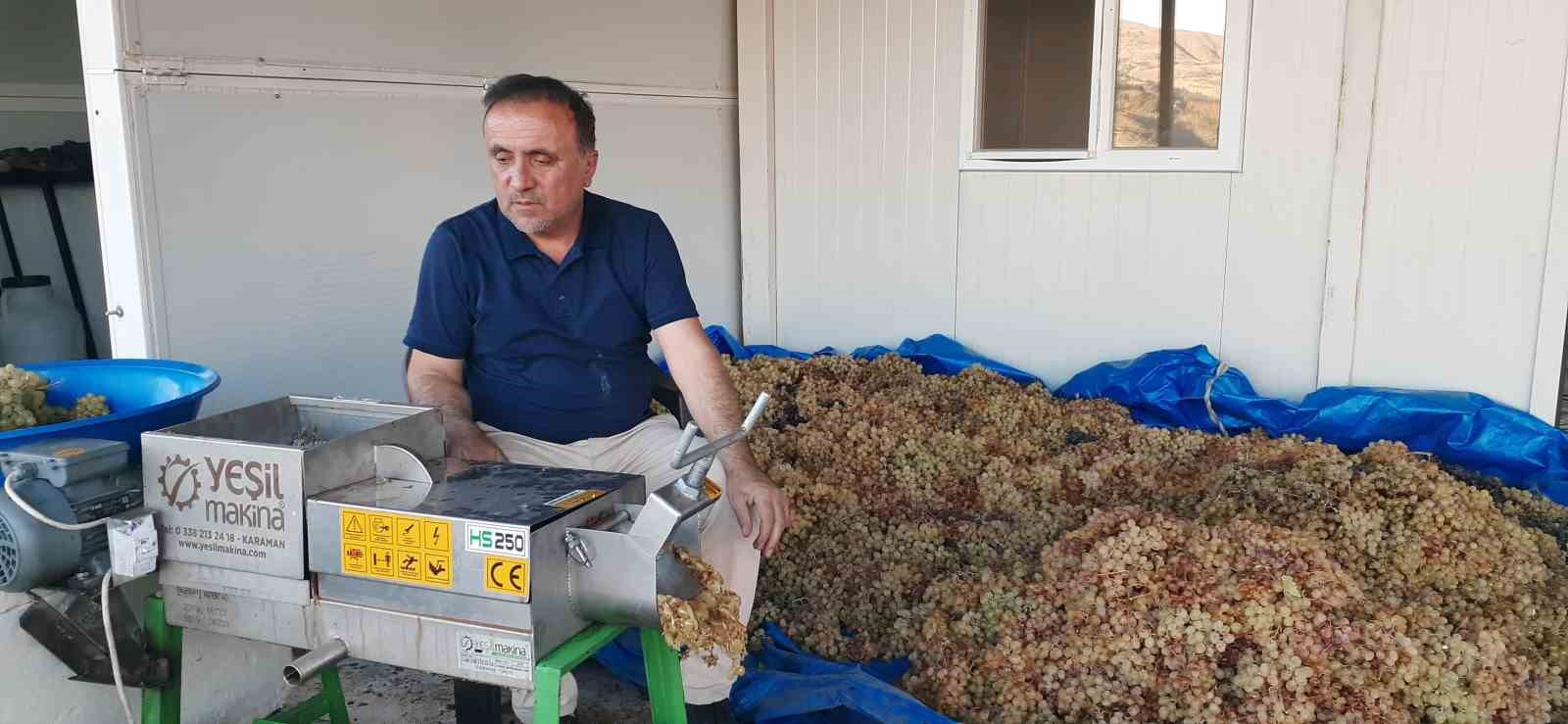 Bağbozumunda teknolojik aletler kullanılıyor
