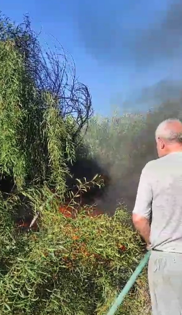 Bahçede yakılan ateş yangın çıkardı, golf arabası küle döndü
