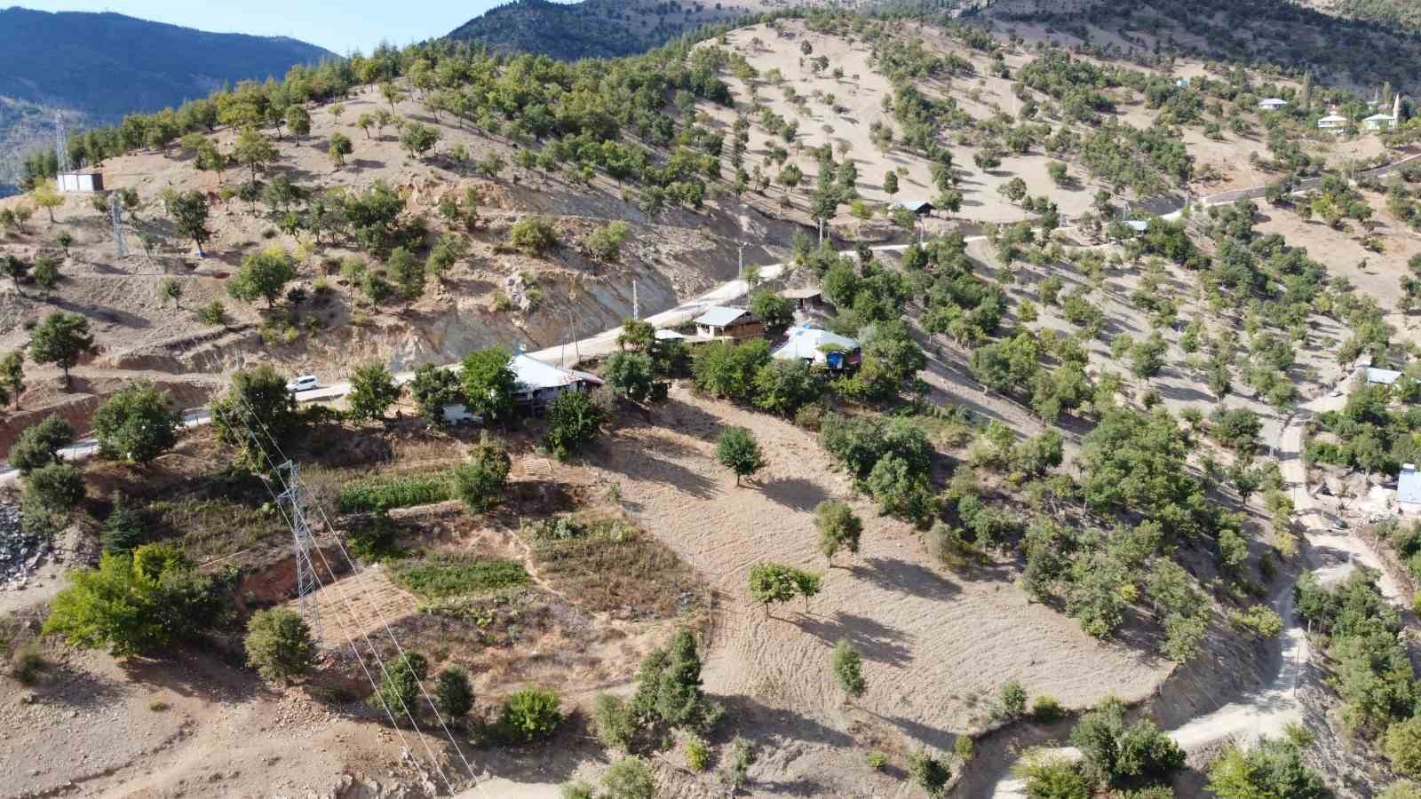 Cerrah olma hayallerine devletin desteği ile koşuyorlar
