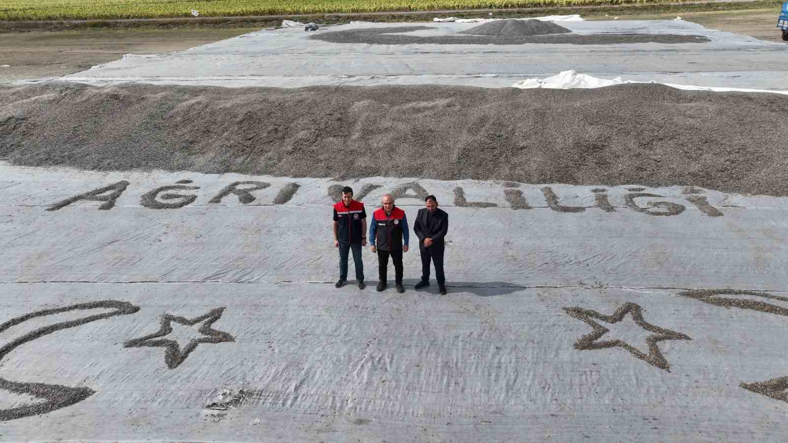 Ağrı’nın bereketleri topraklarında büyüyen ayçiçeklerinden 10 bin ton verim bekleniyor
