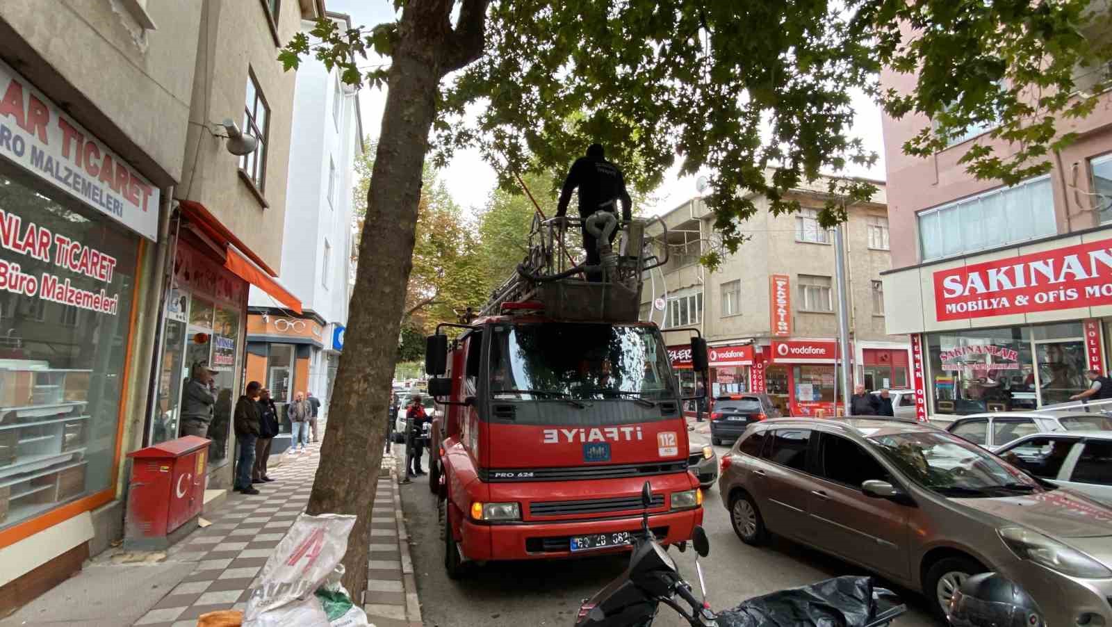 Çatıda mahsur kalan kedinin imdadına itfaiye ekipleri yetişti
