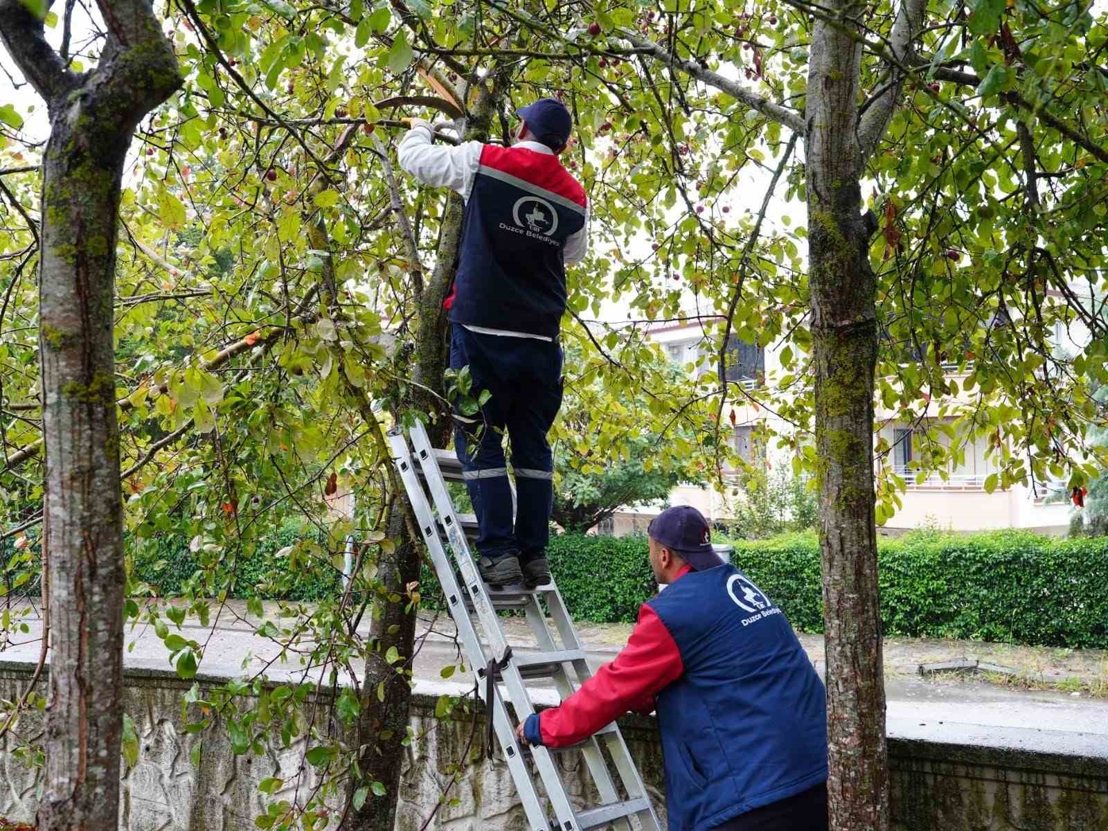 Düzce’de çevre düzenlemesi sürüyor