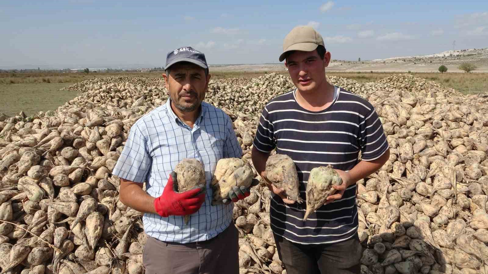 Kütahya’da pancar hasadı başladı