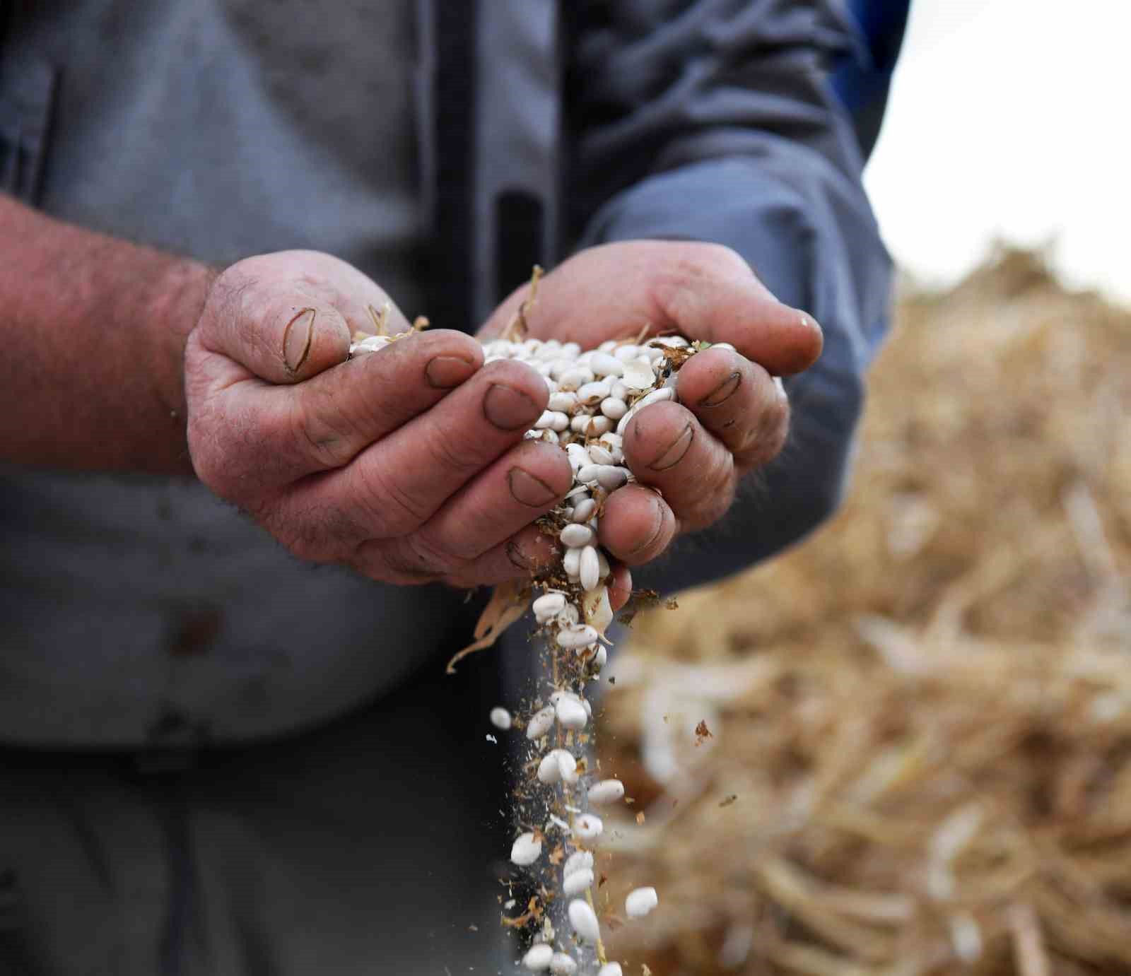 Yayladaki şenlikler Yarbaş&ccedil;andır Yayla Şenliği ile devam ediyor
