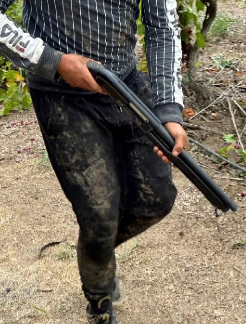 Tarladan mısır ko&ccedil;anı ve &uuml;z&uuml;m &ccedil;alan hırsızlar jandarmadan ka&ccedil;amadı
