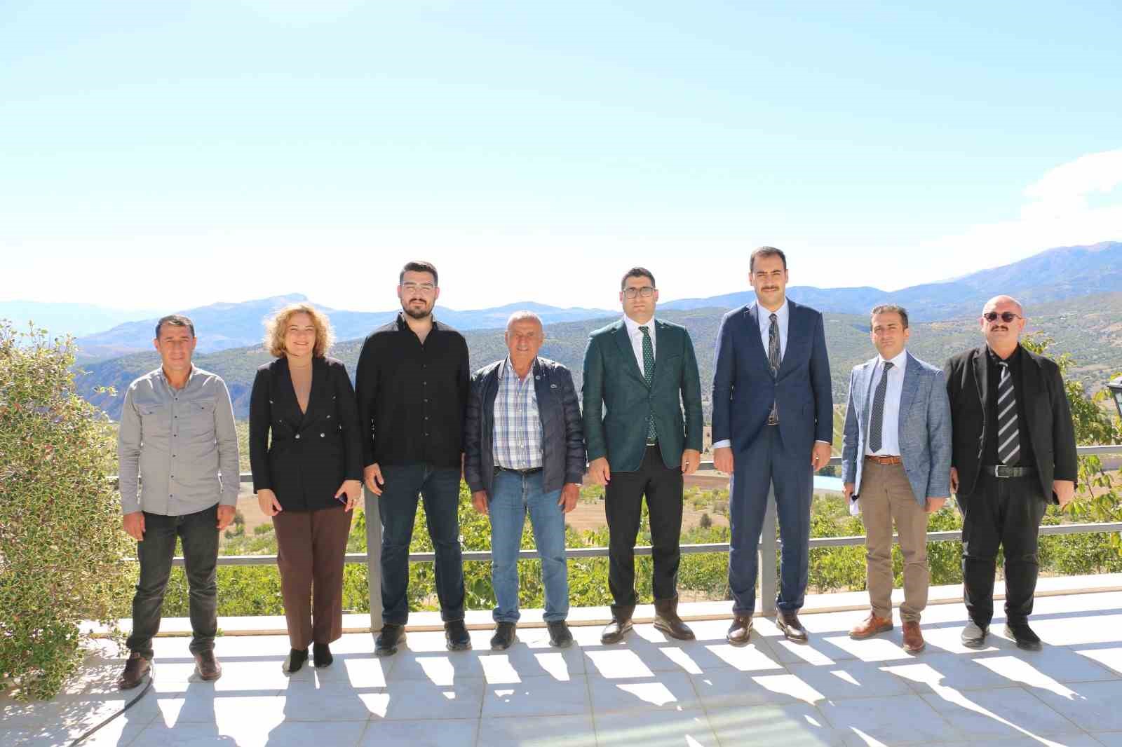 1400 dekar arazide 35 bin ceviz ağacı dikti
