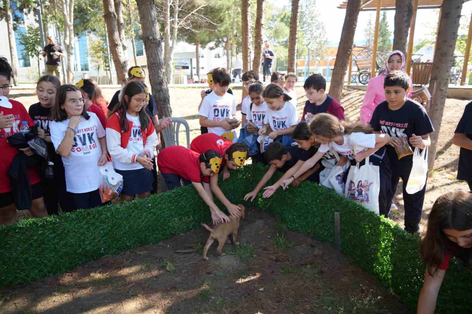 ’Pati Şenliği’nde can dostlar ilgi odağı oldu
