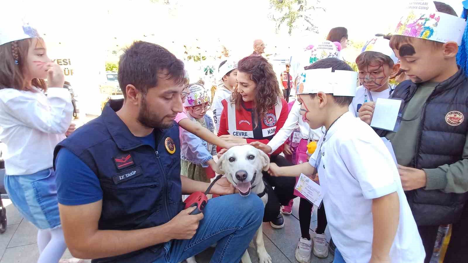 Belediye sokak hayvanlarını unutmadı
