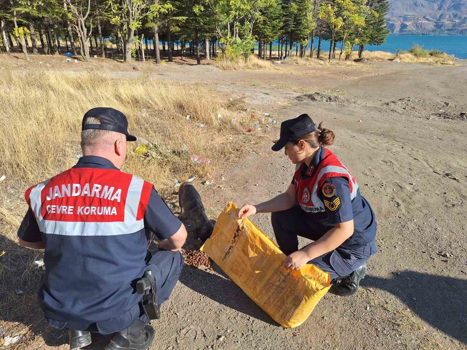 Elazığ’da jandarma ekipleri, sokak hayvanlarını unutmadı