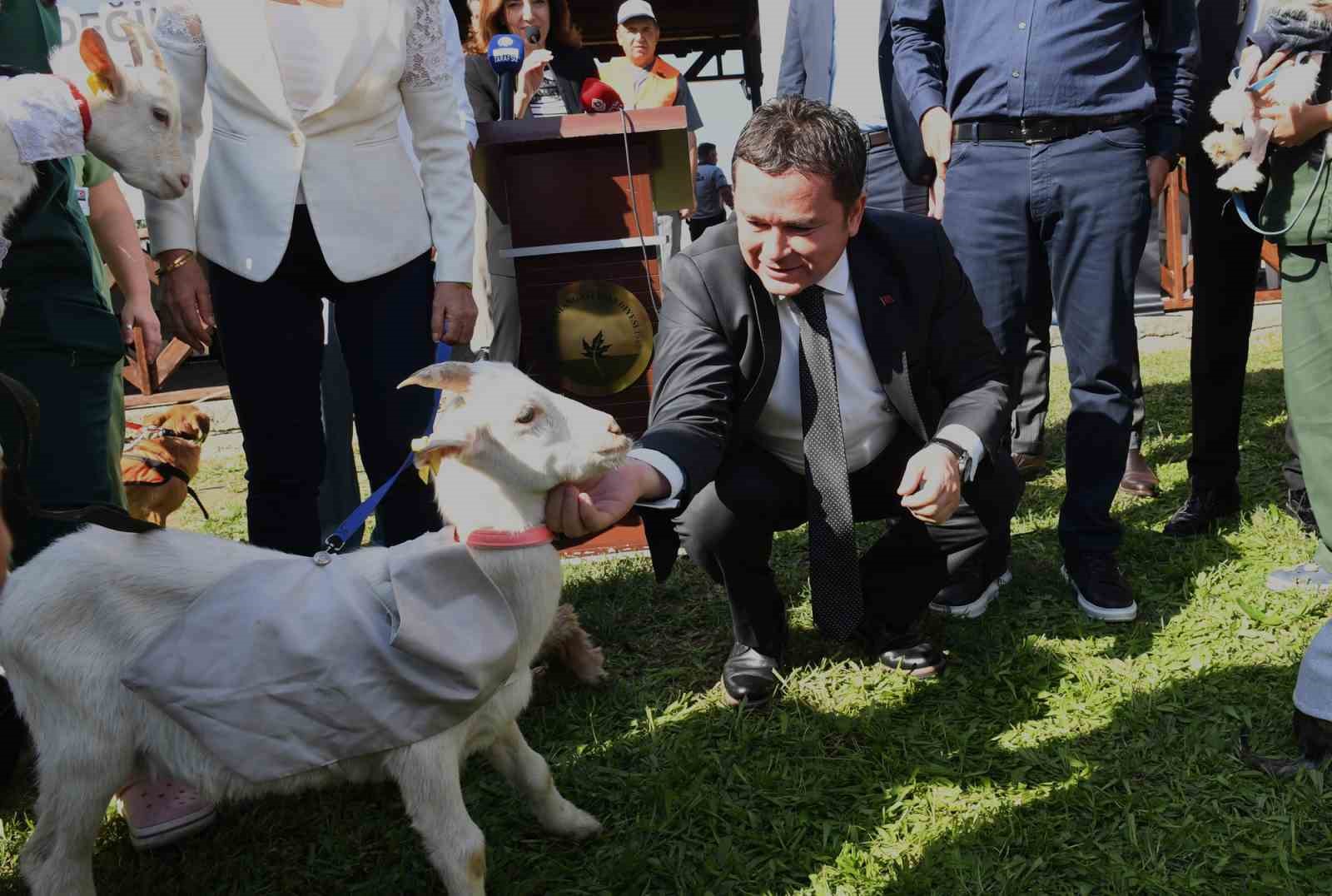 Can dostlar 4 Ekim’i en güzel kıyafetleri ile kutladı
