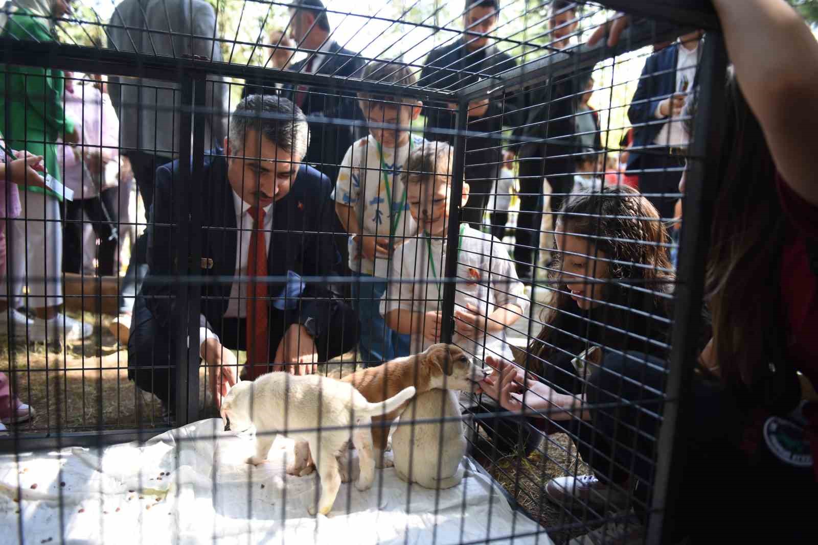 Yıldırım&rsquo;da can dostlar emin ellerde
