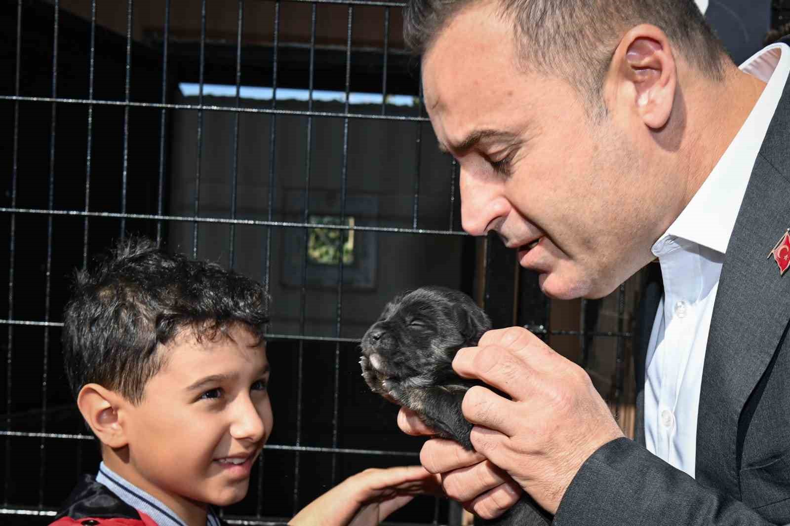 B&uuml;y&uuml;kşehir kampanya ile 500&rsquo;&uuml;n &uuml;zerinde can dostunu sahiplendirdi
