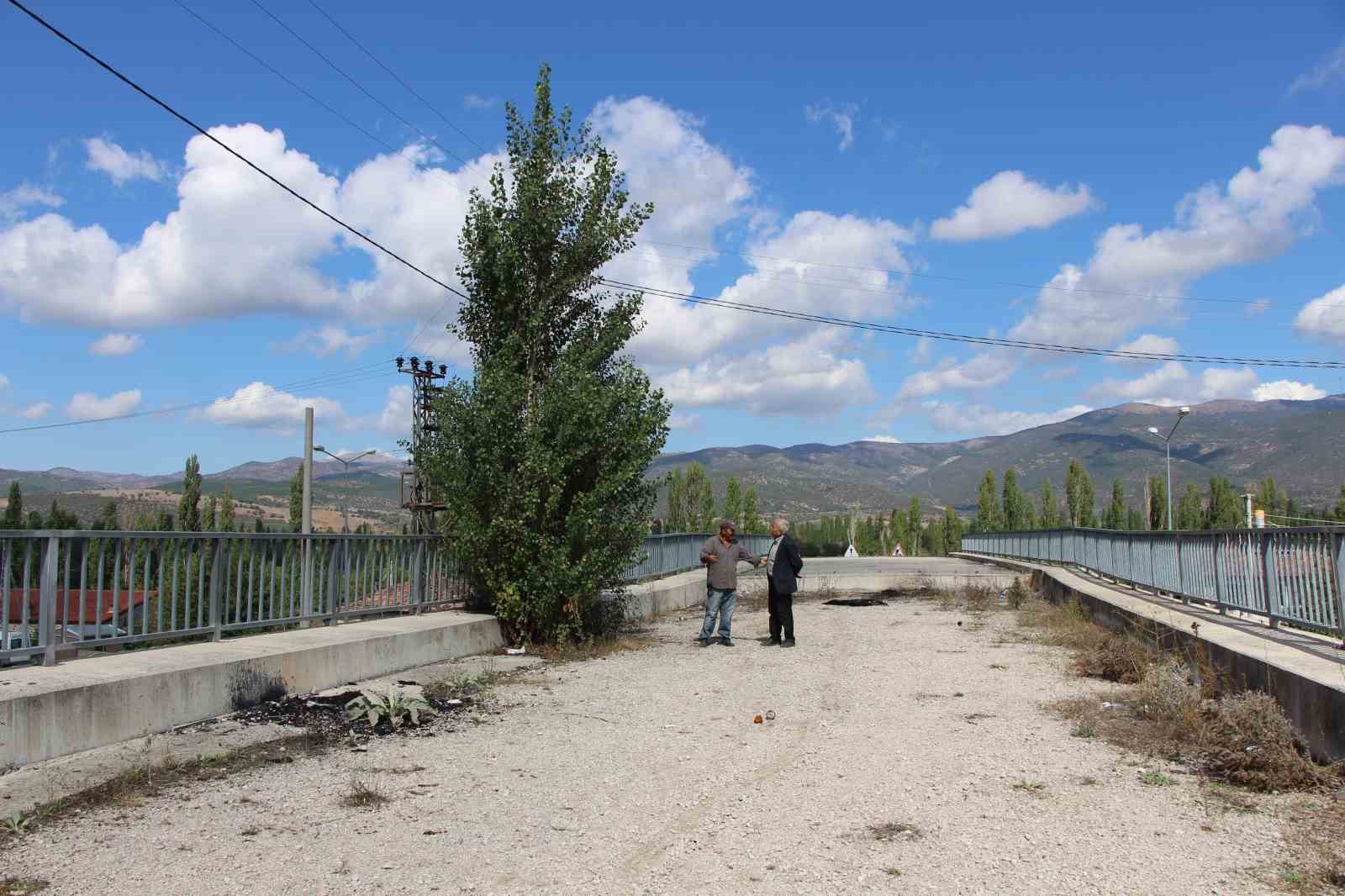 Amasya’da 16 yıldır tamamlanamayan üstgeçitte ağaçlar bitti