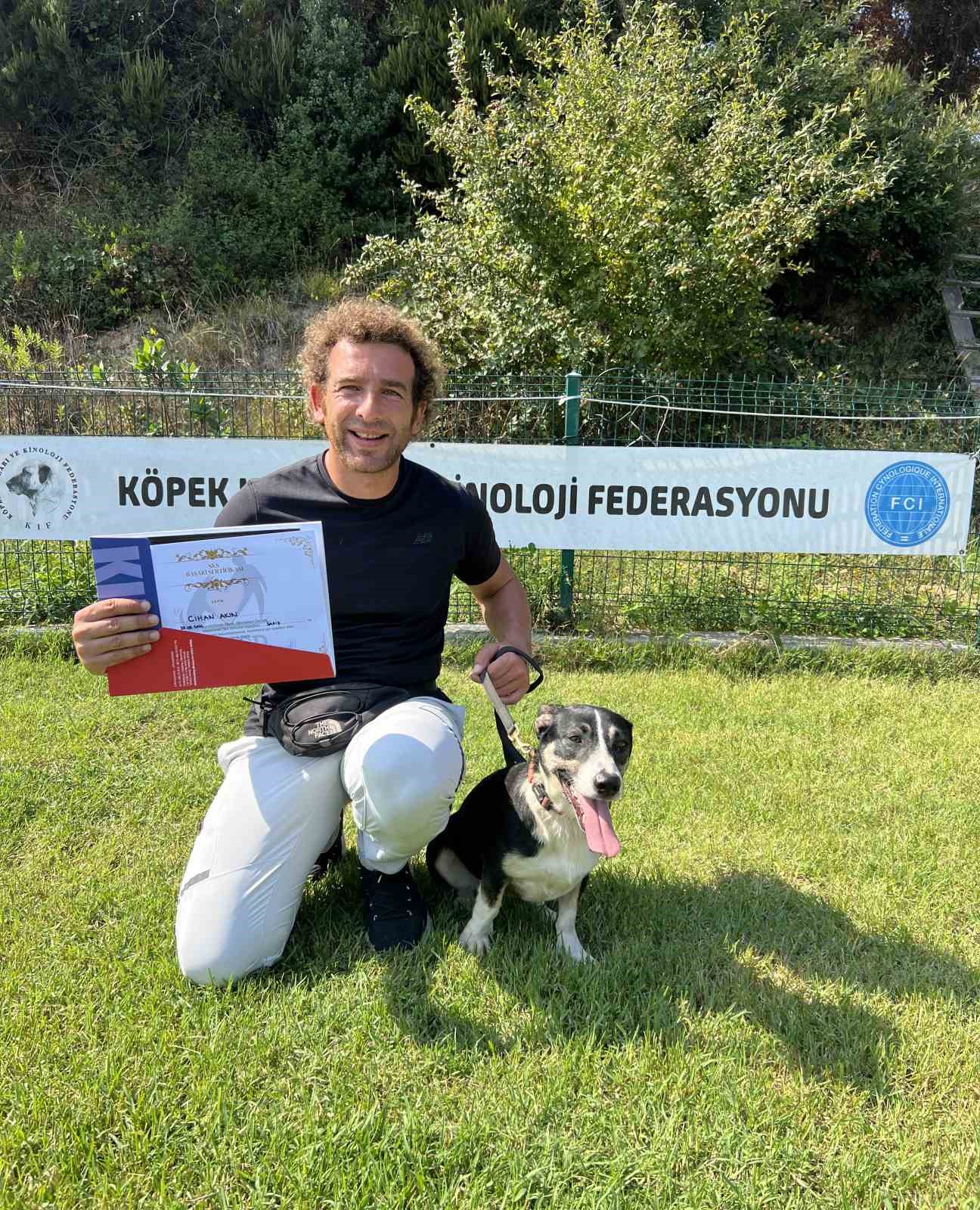 Terapi eğitimi verilen sokak köpekleri, hastalara ümit oluyor
