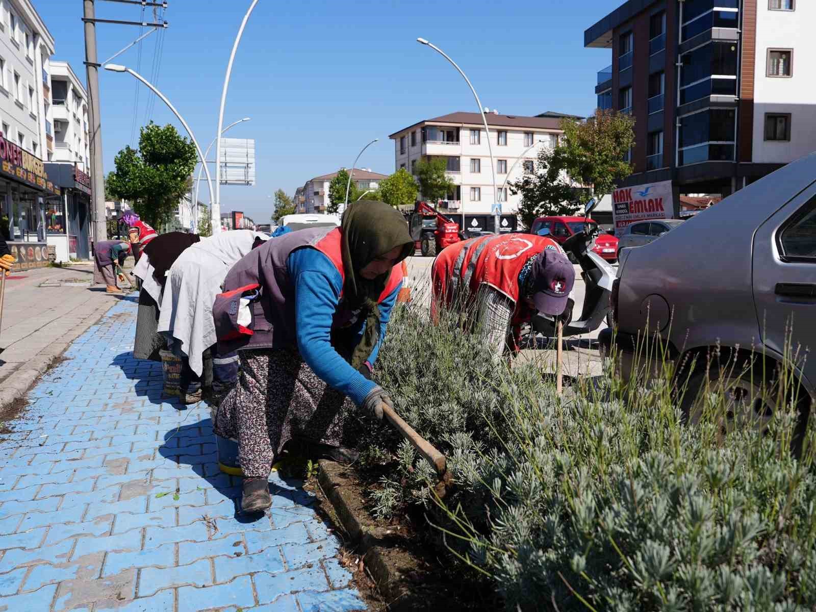 Yeşil dokuya özel ilgi