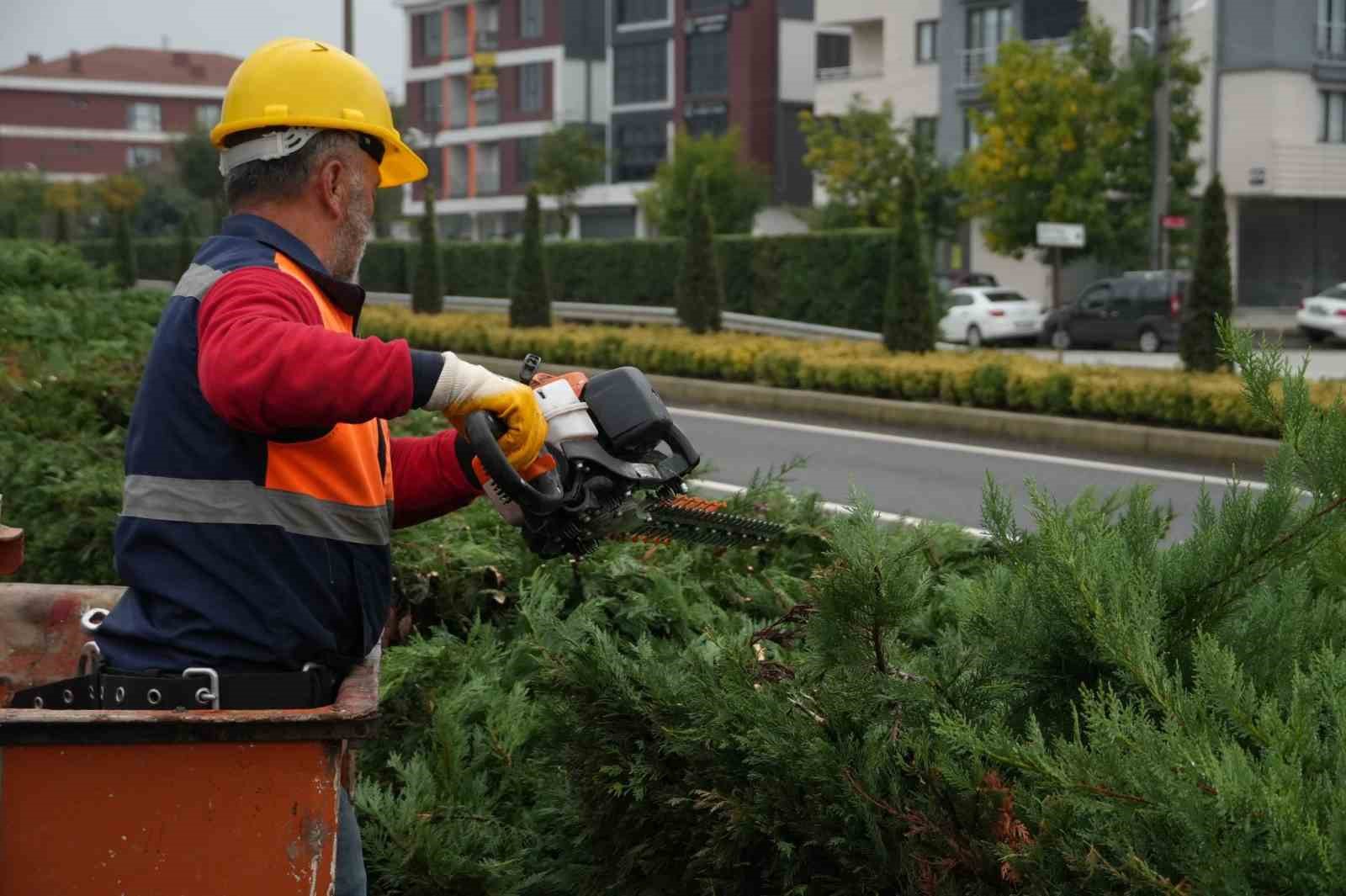 Yeşil dokuya özel ilgi
