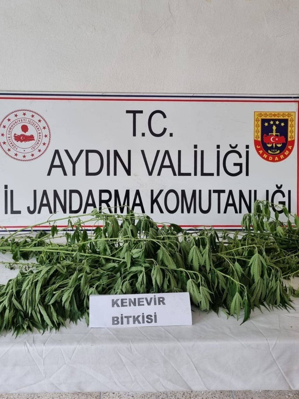 Aydın’da jandarma ekipleri uyuşturucuya geçit vermiyor
