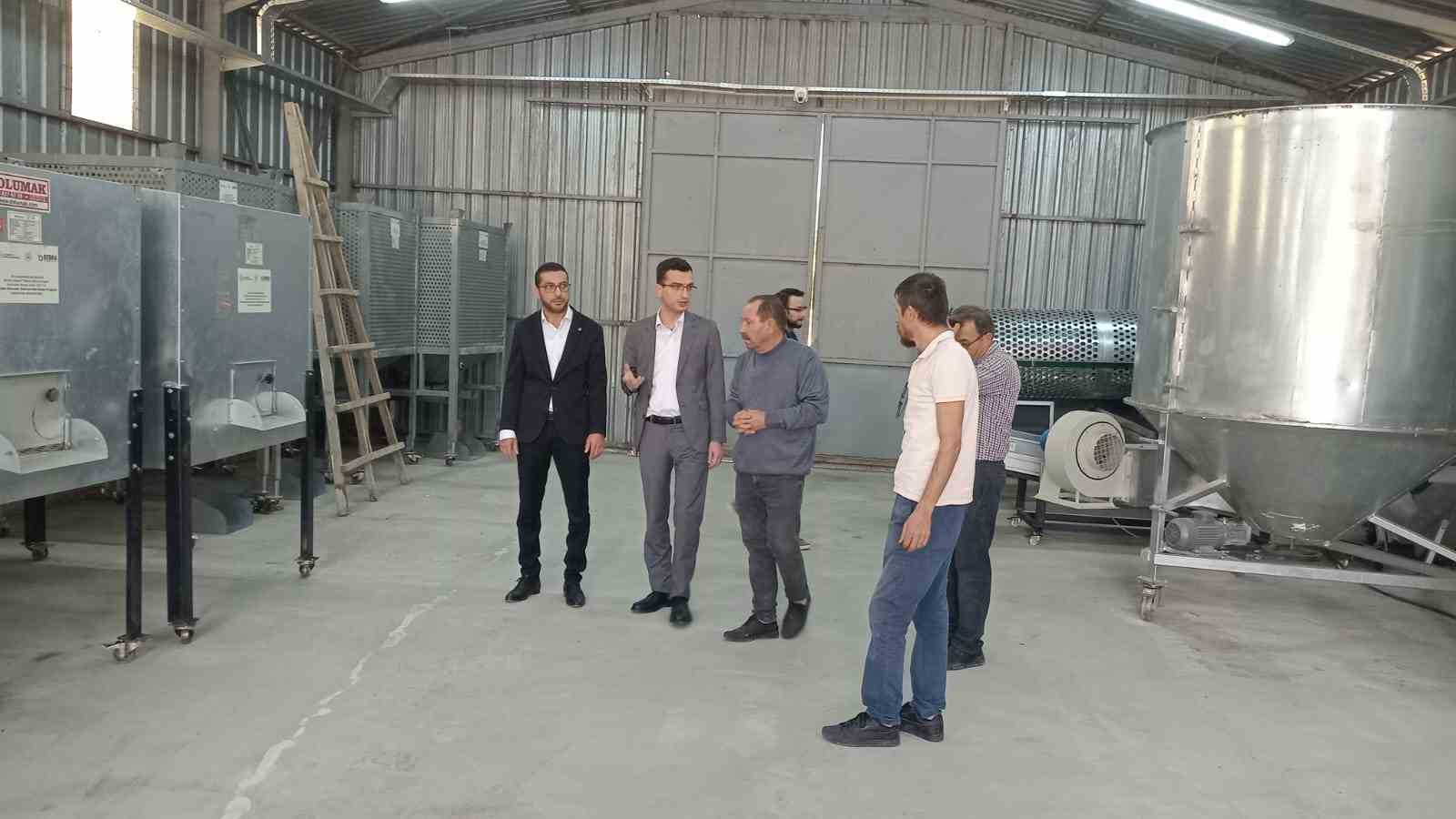 G&ouml;lpazarı&rsquo;nda cevizler kurutmaya bırakıldı
