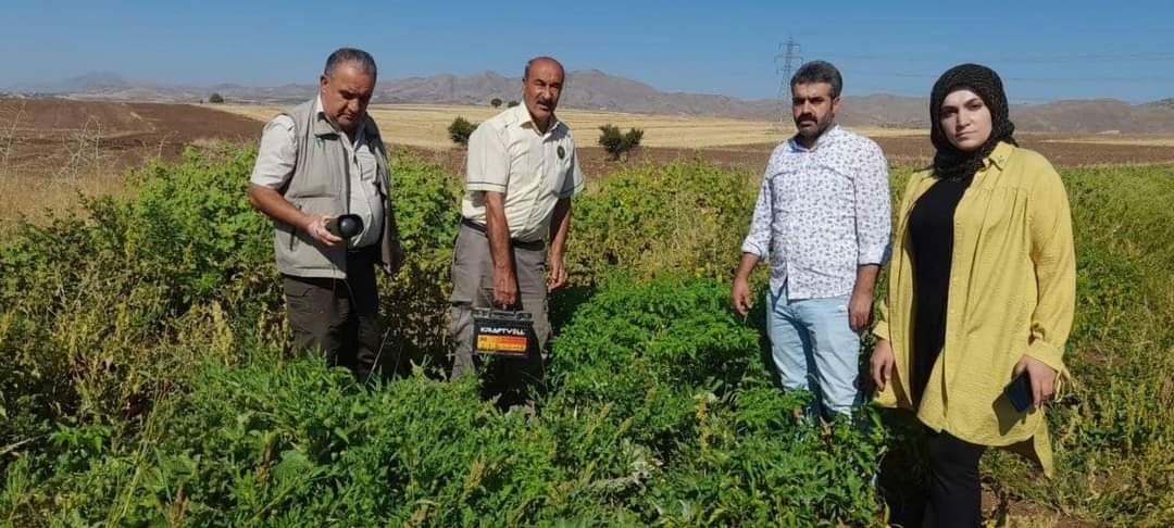 Elazığ’da kaçak avcıların kullandığı, bıldırcın sesi çıkaran cihaz ele geçirildi