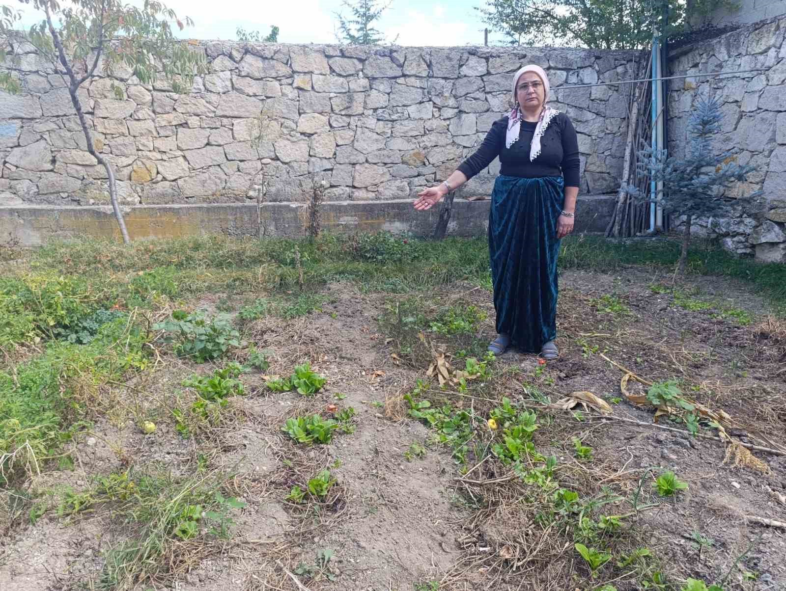 Evin bahçesine kimyasal madde dökerek zehirlenmeye neden olan şahsa 37 ay hapis cezası
