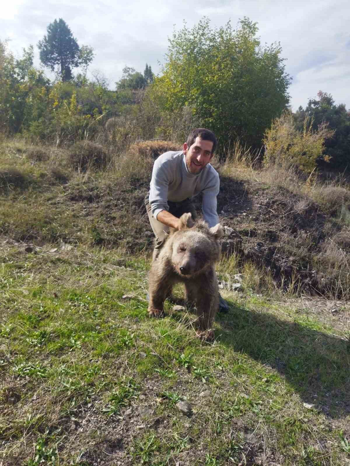 Erzurum Oltu&rsquo;da yaralı yavru ayı kurtarıldı

