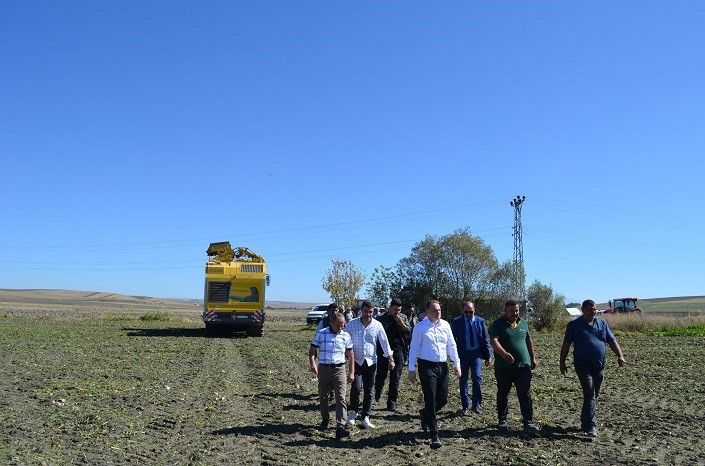 Bulanık Kaymakam Koşansu, şeker pancarı hasadı yapan çiftçileri ziyaret etti
