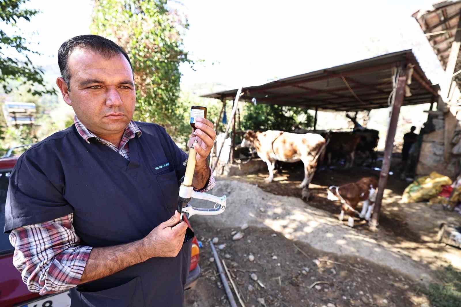 Denizli B&uuml;y&uuml;kşehir mastit hastalığıyla m&uuml;cadele başlattı
