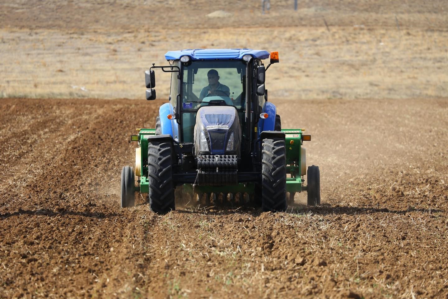 Erzincan&rsquo;da g&uuml;zl&uuml;k hububat ekimleri yapılıyor
