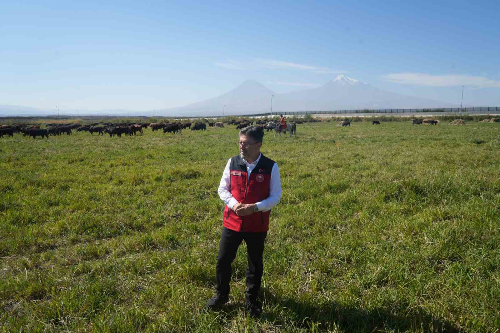 Bakan Yumaklı: "&Uuml;&ccedil; temel hedefimiz var; &uuml;reticilere uygun maliyetle hayvan temini, t&uuml;keticiye uygun maliyetle kırmızı et temini ve kırmızı et ithalatını bitirmek"
