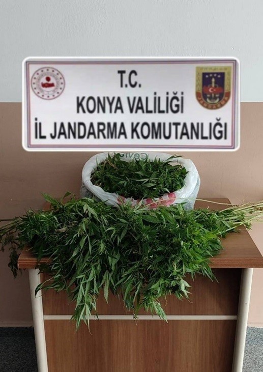 Evinde uyuşturucu serası oluşturan kişi tutuklandı
