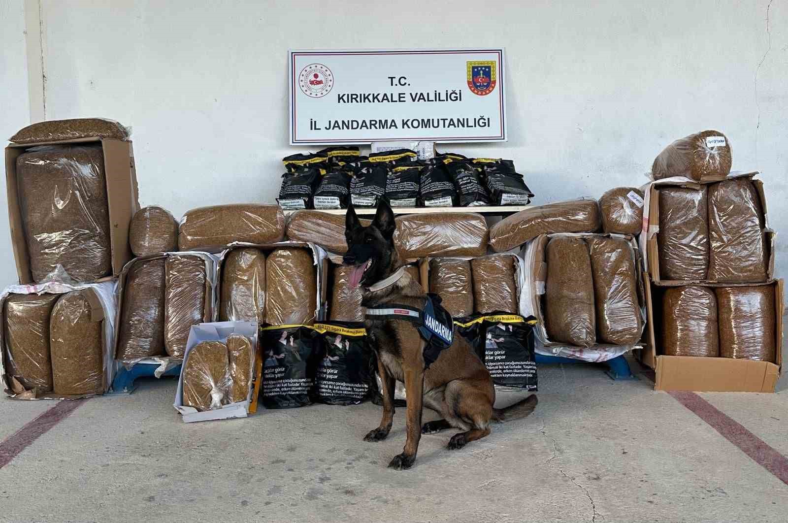 Hassas burun "Alkış" kargo aracında 710 kilogram kaçak tütün buldu