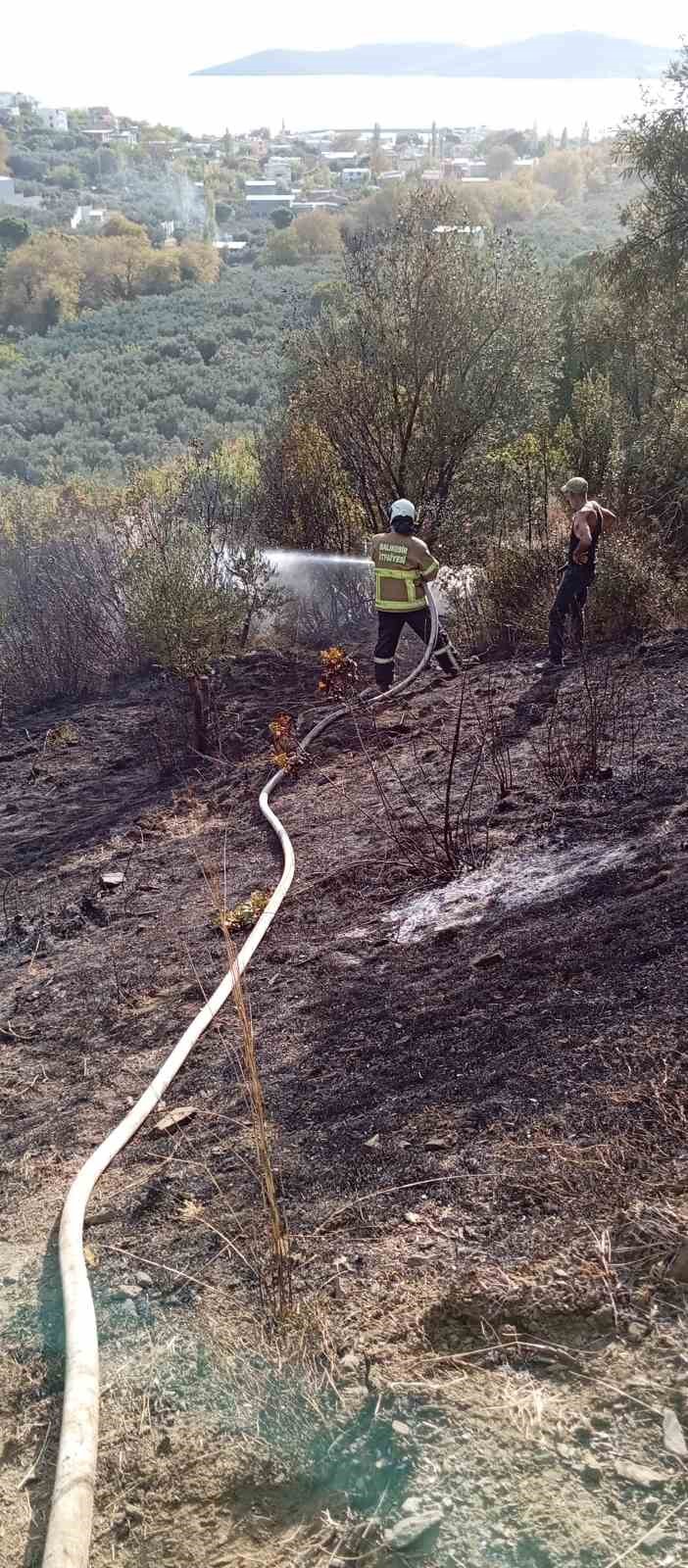 Erdek&rsquo;te yangın: 10 d&ouml;n&uuml;ml&uuml;k zeytinlik k&uuml;l oldu
