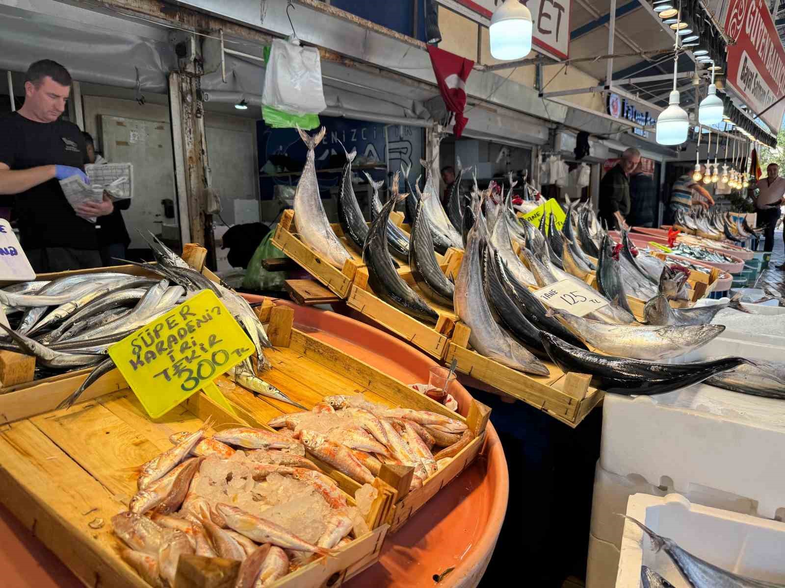 Palamut irileşti, fiyatı y&uuml;z g&uuml;ld&uuml;rd&uuml;
