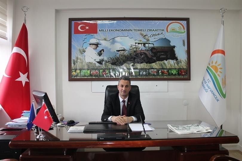 Bilecik’te çiftçilerin kahverengi kokarca paniği