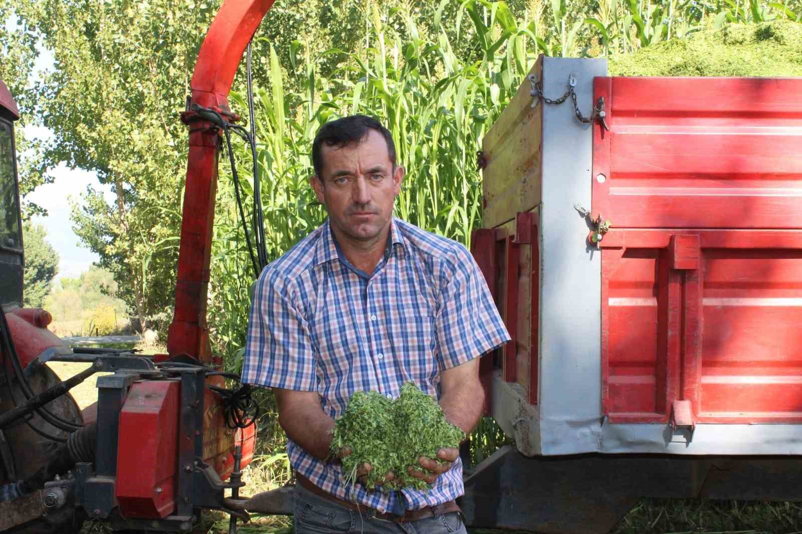 Tokat’ta ilk kez ekilen sorgum sudan otu melezi ekonomiye katkı sağlayacak
