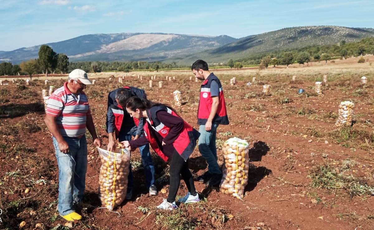 Domaniç’te patates hasat çalışmaları kontrol edildi
