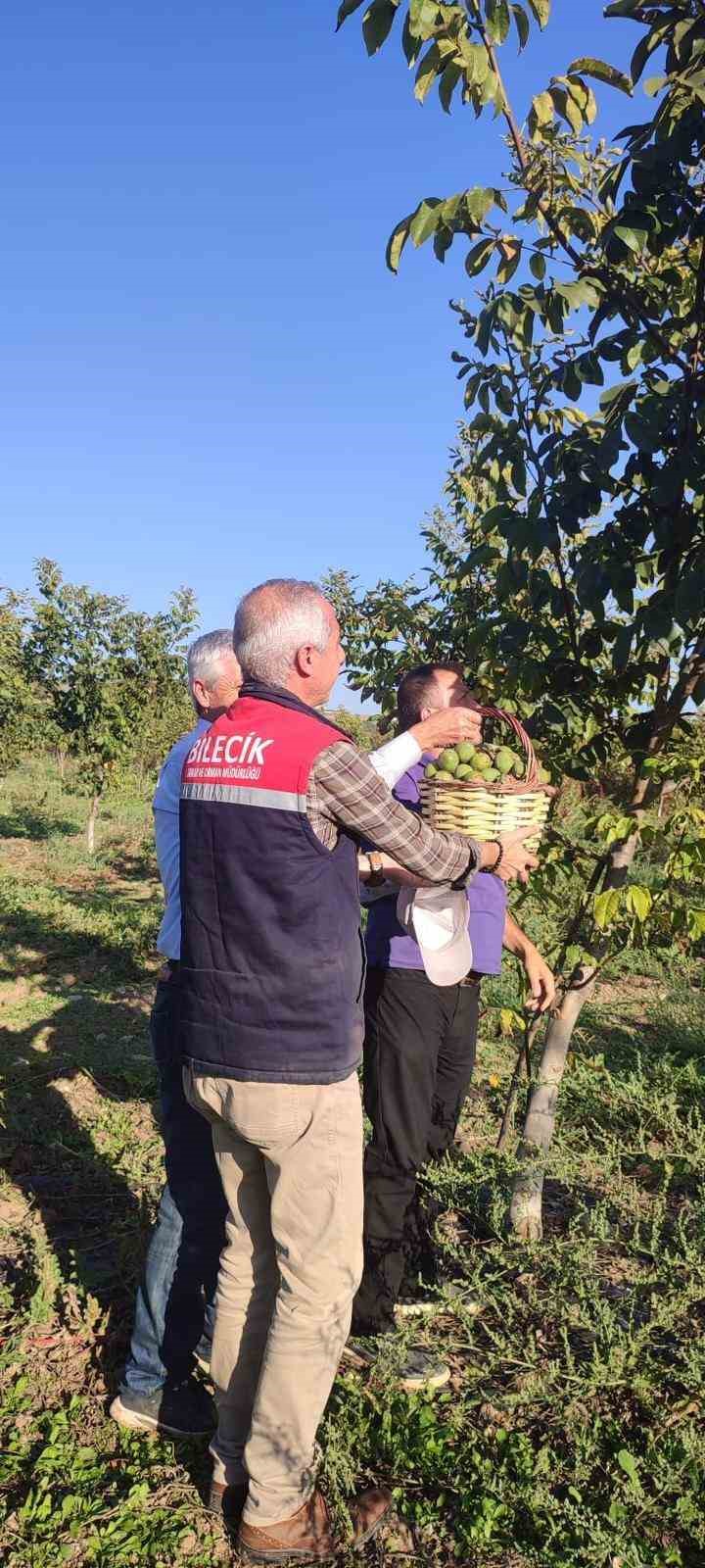 Kavaklığı ceviz bah&ccedil;esine d&ouml;n&uuml;şt&uuml;ren muhtarlık ilk hasadını yaptı
