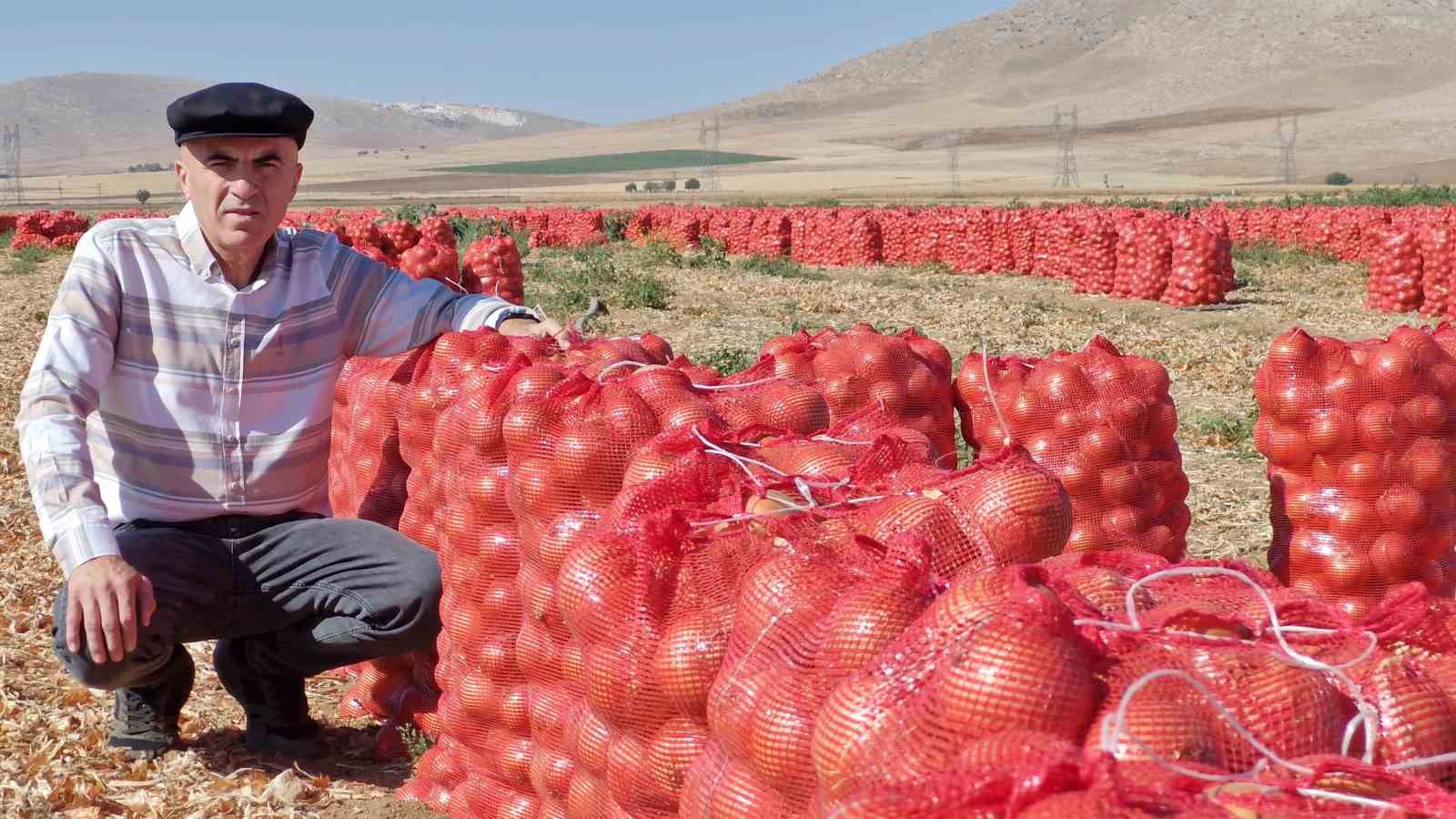 Karaman’da kuru soğan üreticisinin yüzünü güldürüyor