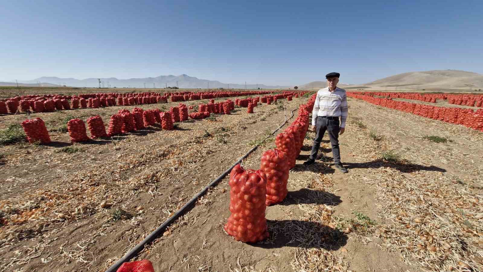 Karaman’da kuru soğan üreticisinin yüzünü güldürüyor
