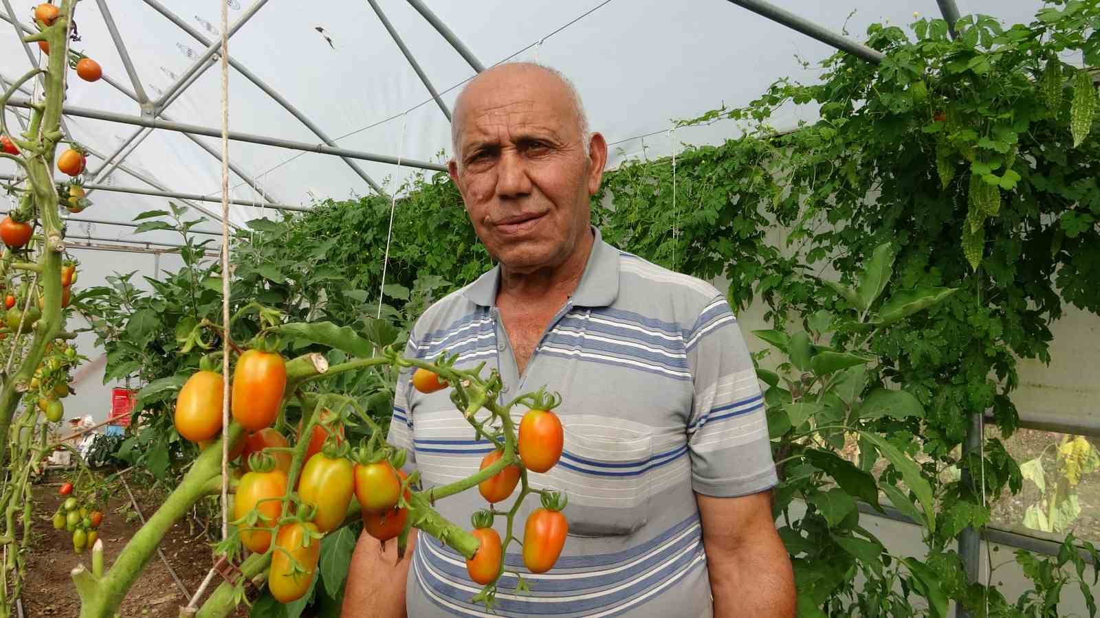 Yavuzkemal Beldesinden örnek tarım projesi